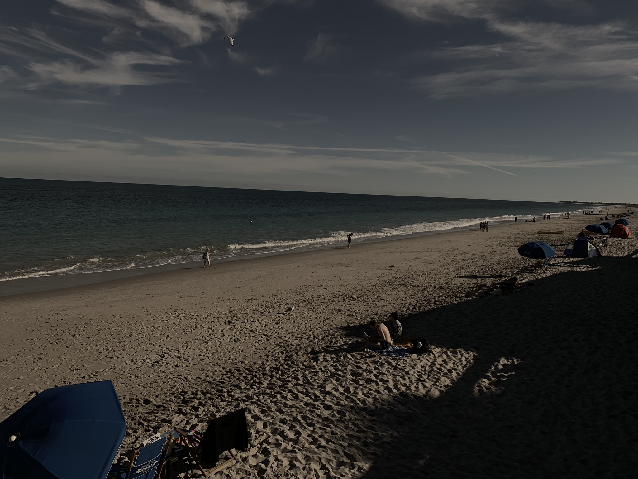 Beach Day