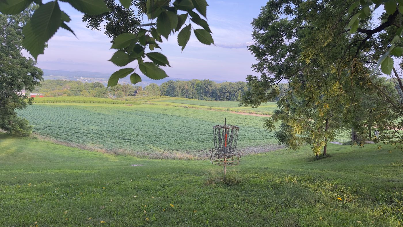 Disc golf 