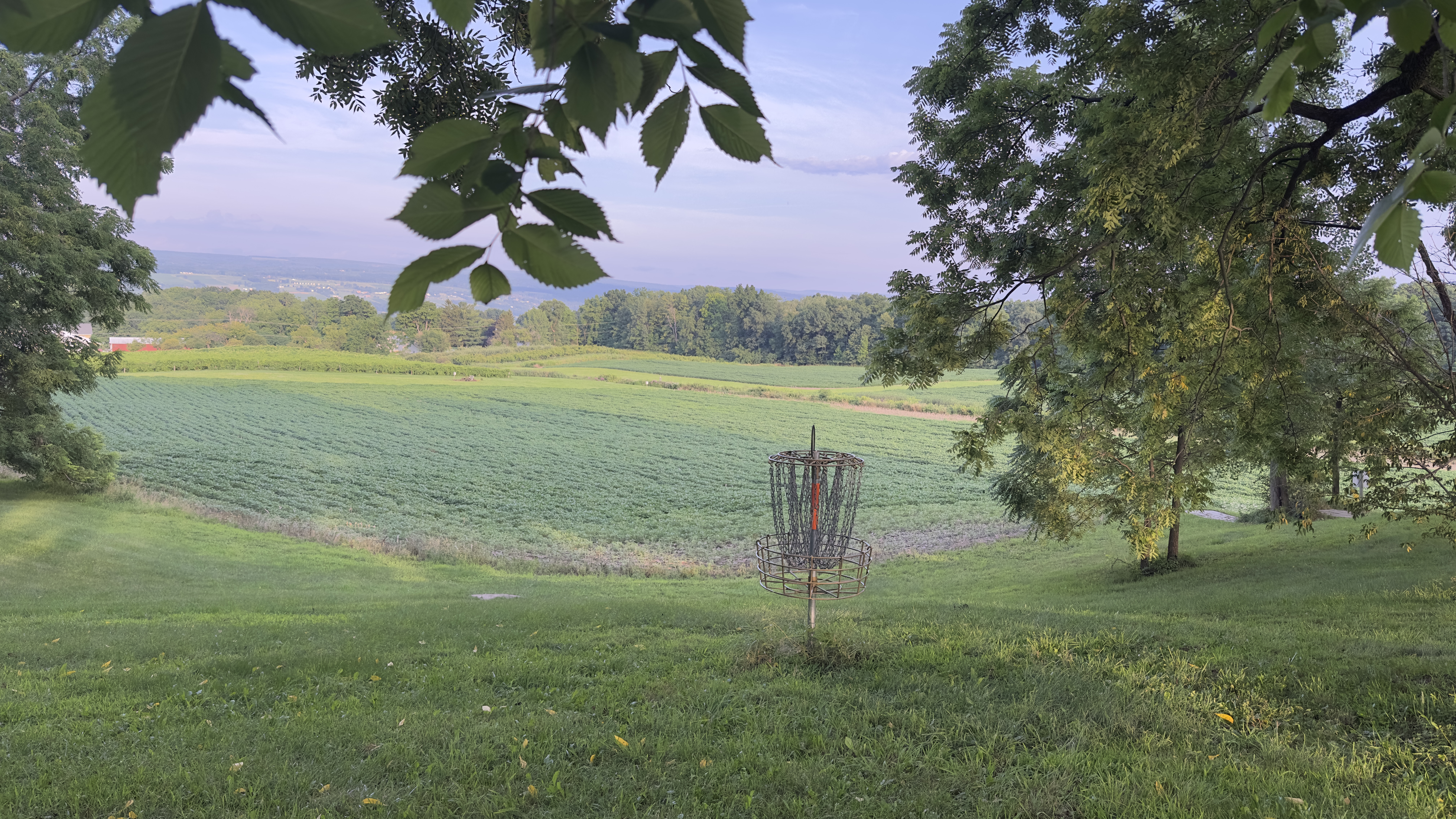 Disc golf 